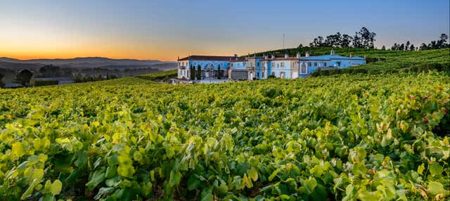 Granbazan Winery Tour