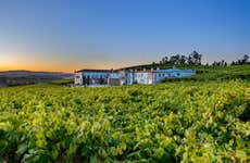 Granbazan Winery Tour