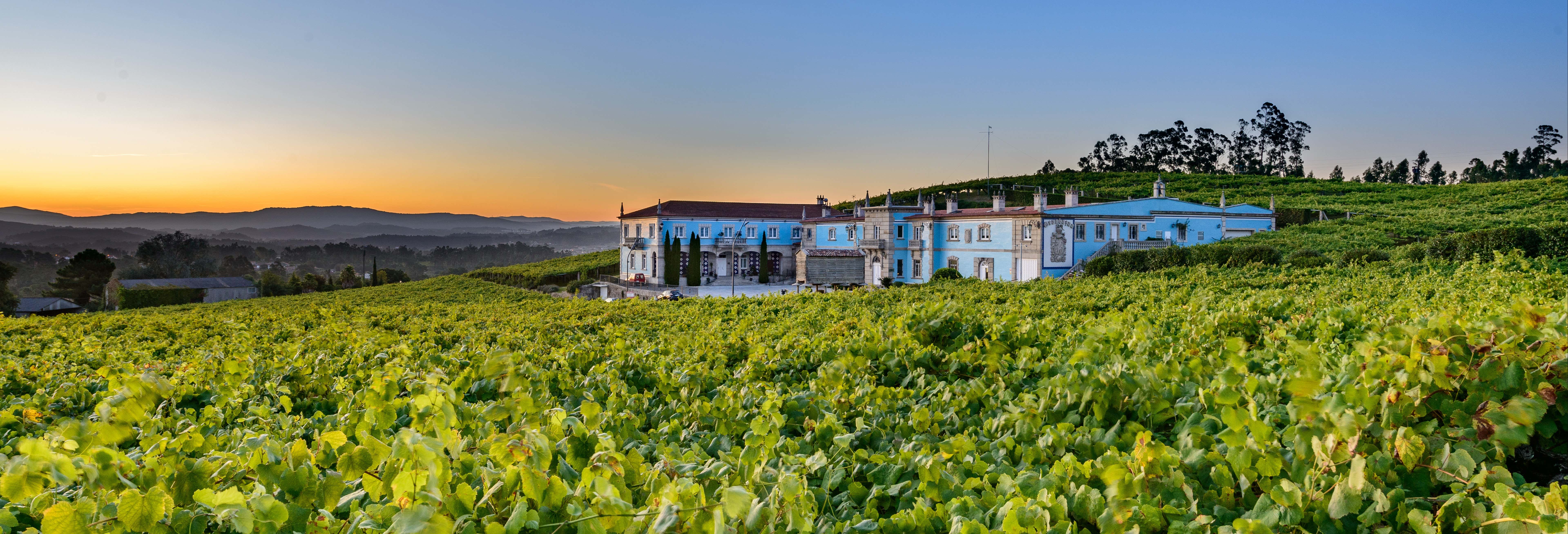 Granbazan Winery Tour