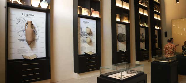 Visita alle cantine Góngora