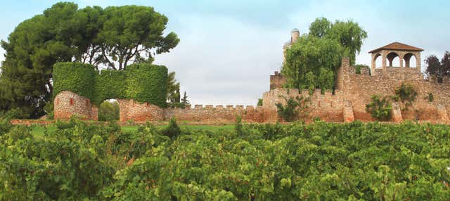 Visita della cantina Jaume Serra