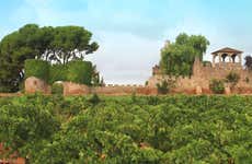 Visita a la bodega Jaume Serra