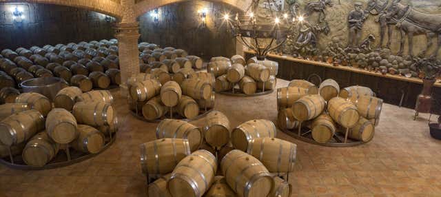 Visita alla cantina Castillo de Aresan