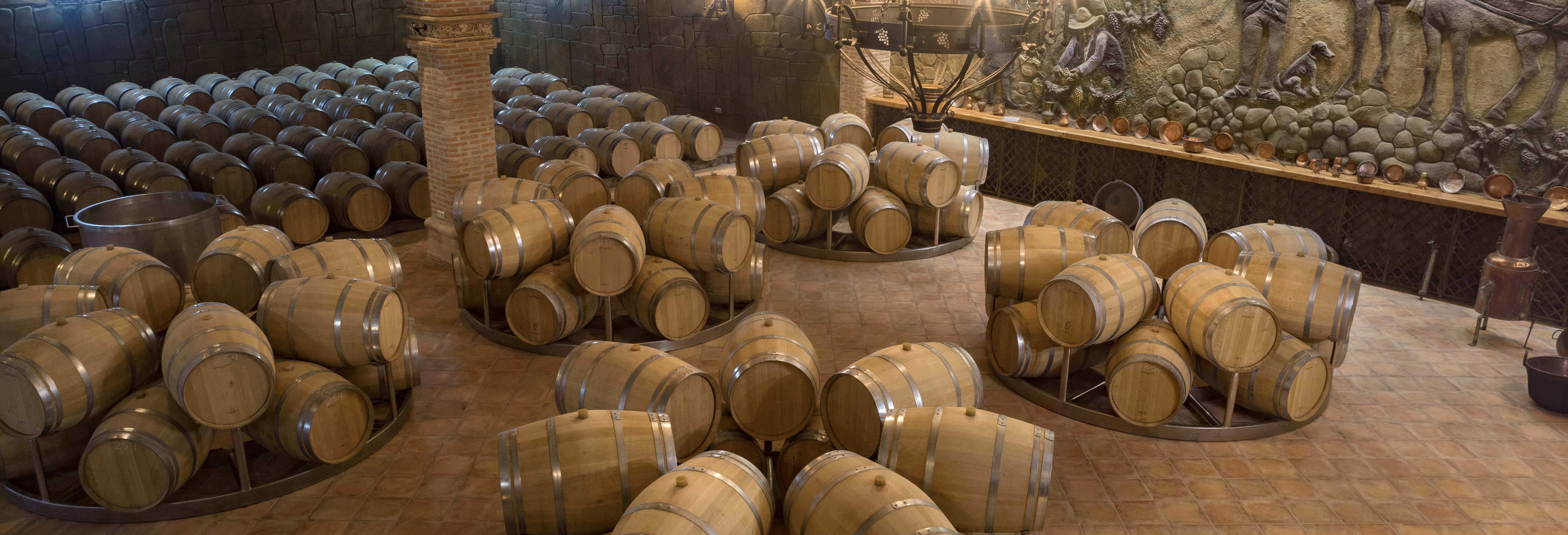 Visita alla cantina Castillo de Aresan