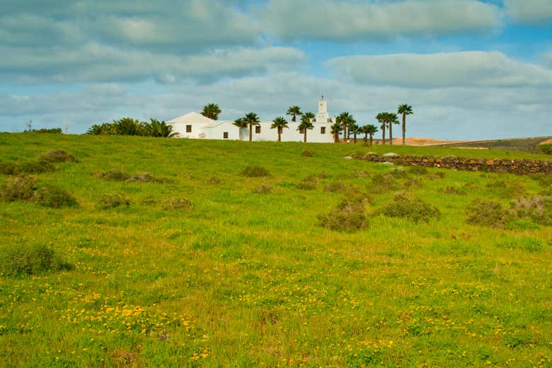 Imagen 7