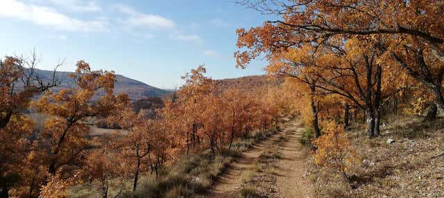 Trekking a Quejigares de Barriopedro e Brihuega