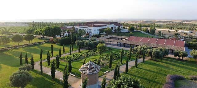 Visita alla cantina e ai vigneti di Casa del Valle