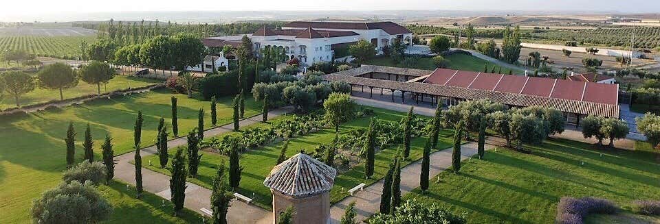 Visita alla cantina e ai vigneti di Casa del Valle