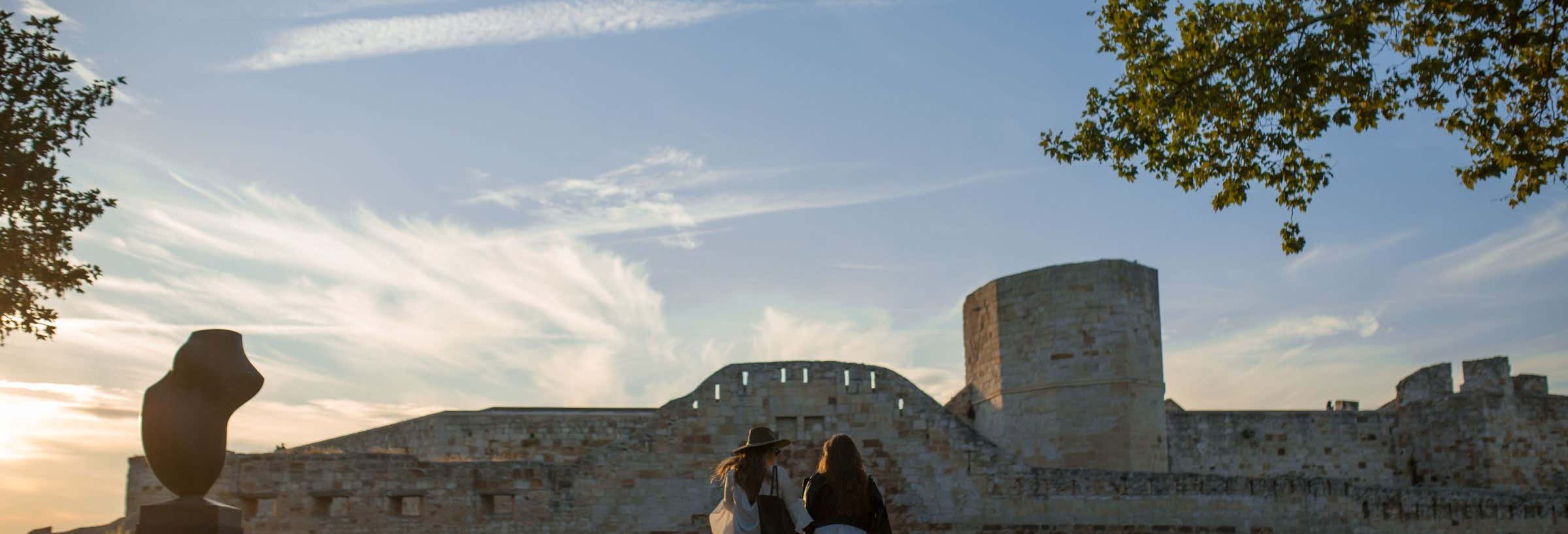 Visita guidata di Zamora e del castello