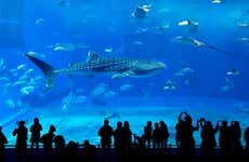 Georgia Aquarium Tickets