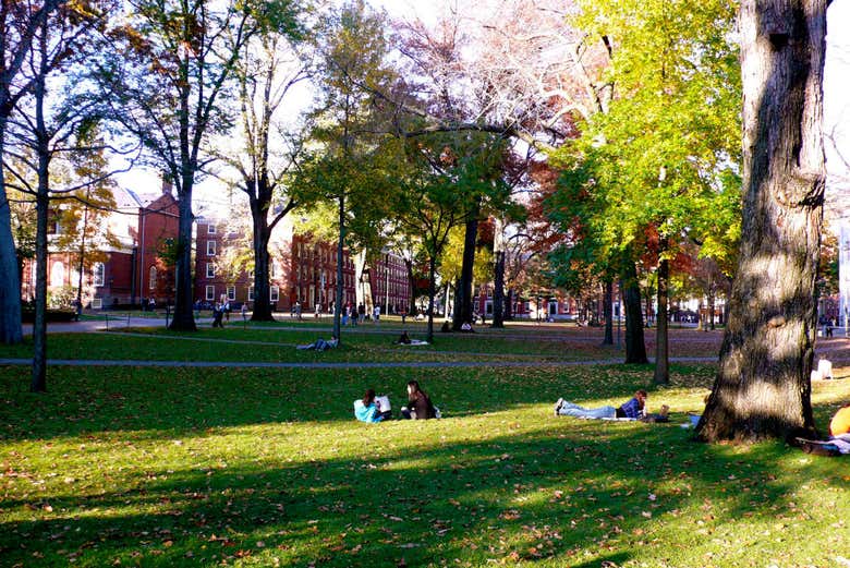 Harvard Walking Tour