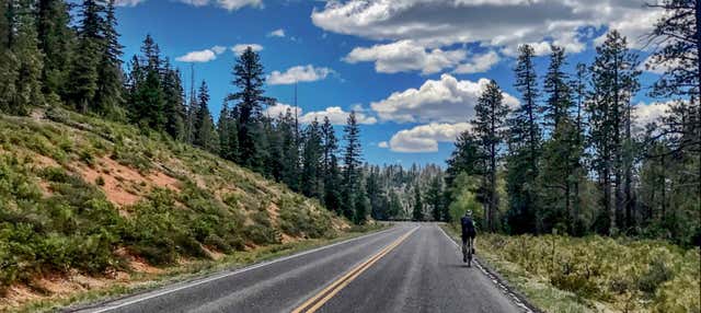 Noleggio bici al Bryce Canyon