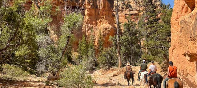 Passeggiata a cavallo nel Bryce Canyon