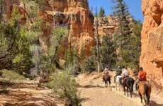 Bryce Canyon Horseback Ride