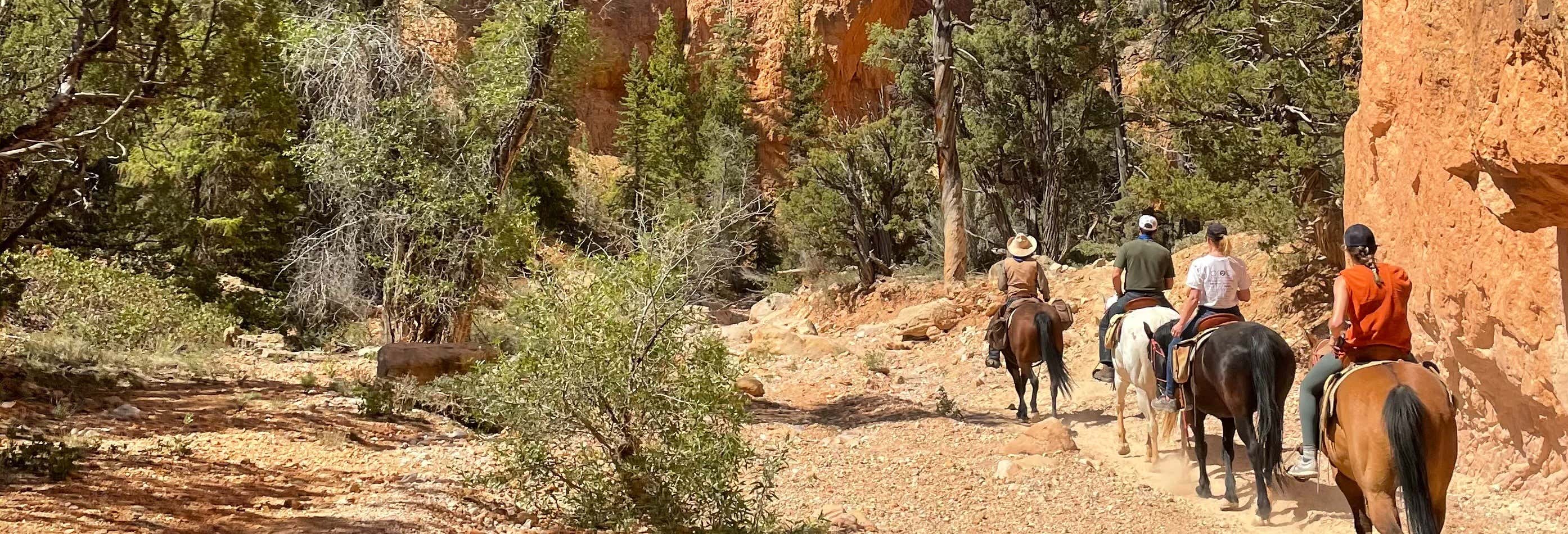 Bryce Canyon Horseback Ride