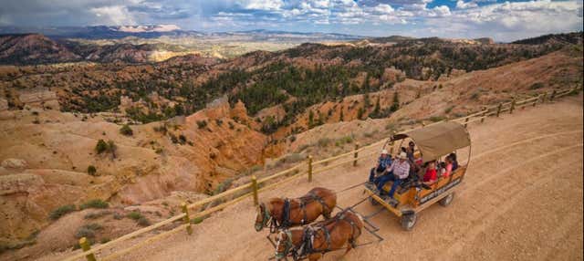 Giro in calesse sul Bryce Canyon