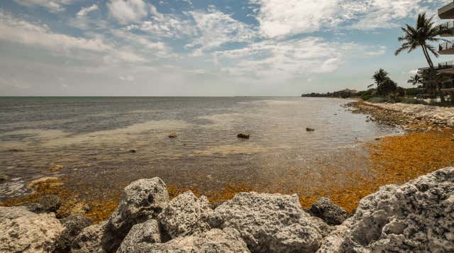 Cayo Hueso