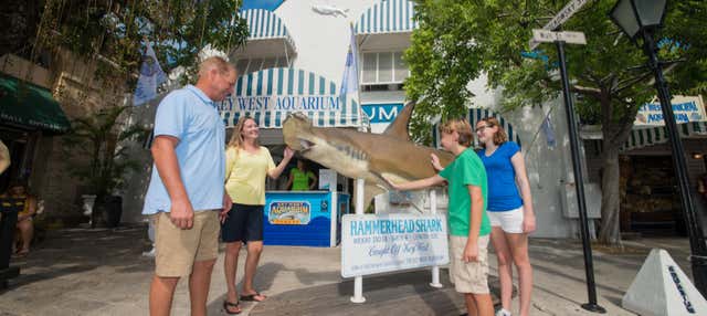 Biglietto per l'acquario di Key West 