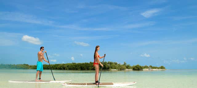 Kayak e paddle surf a Key West + Snorkeling