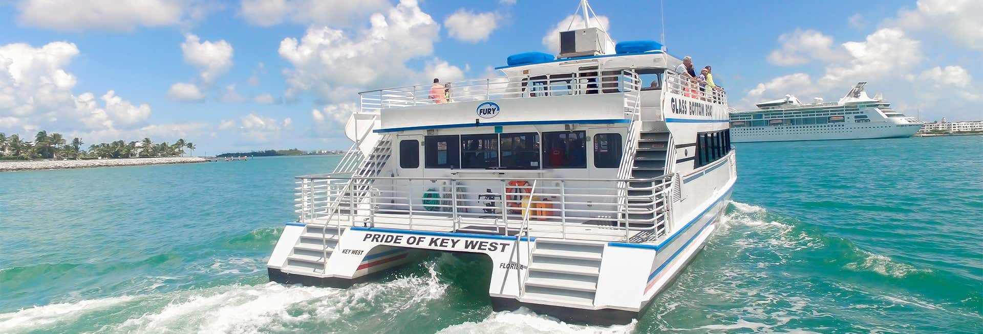 Giro in barca con fondo trasparente