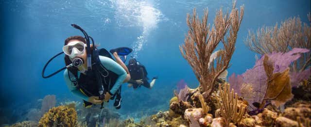 Baptême de plongée à Key Largo