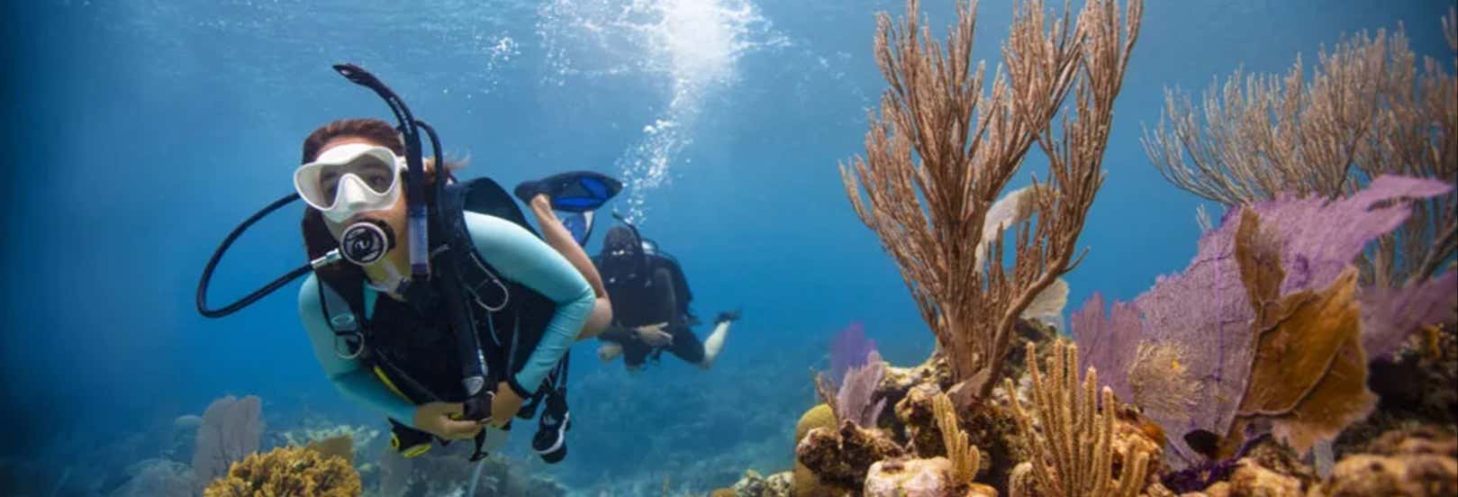 Immersione per principianti a Key Largo