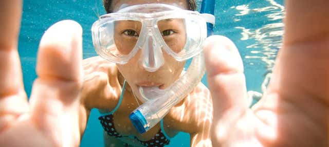 Snorkeling a Key Largo