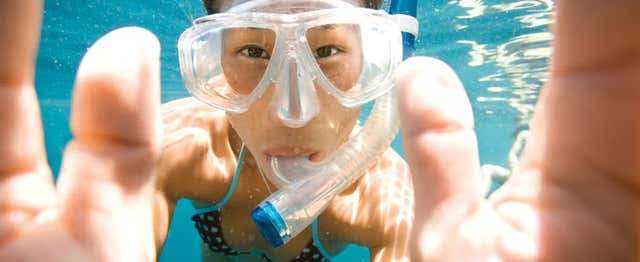Snorkeling à Key Largo