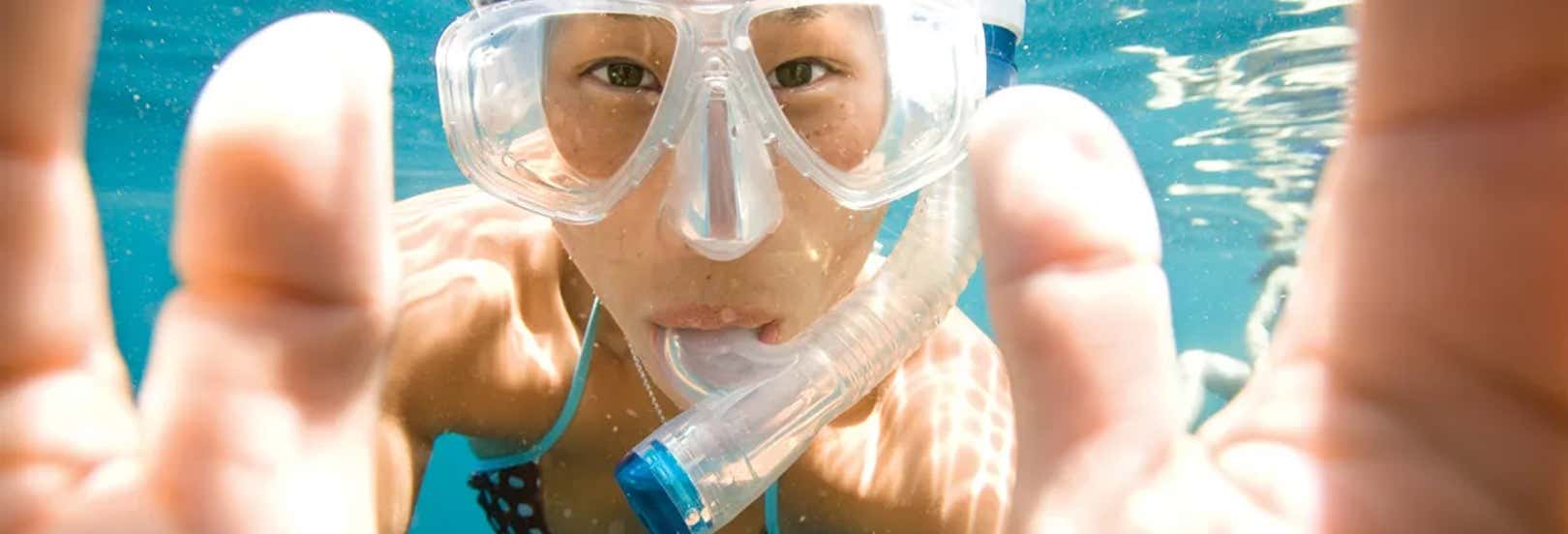 Snorkeling a Key Largo