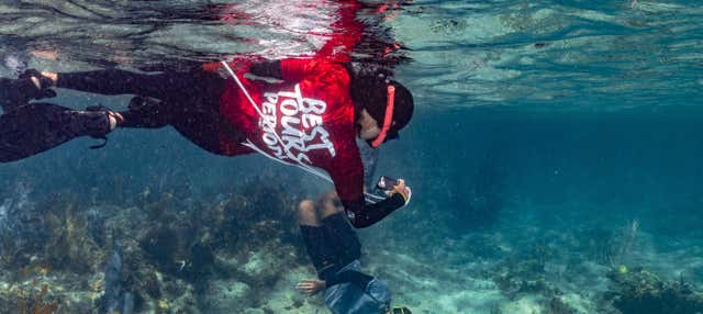 Snorkeling a Culebra