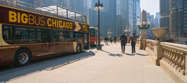 Autobus turistico di Chicago