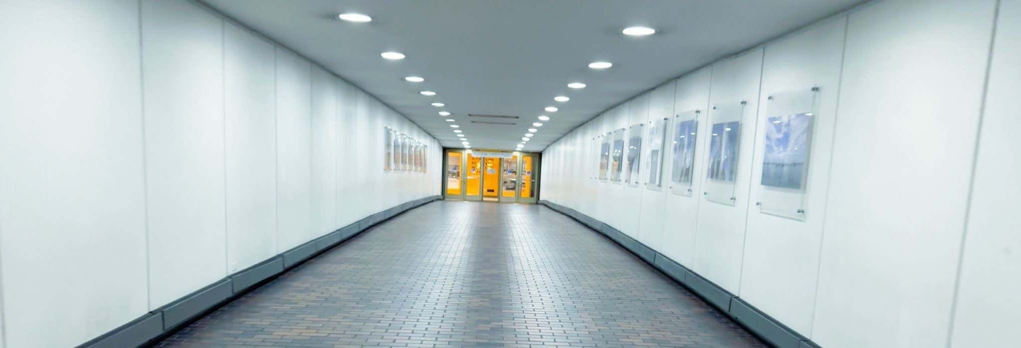 Tour por el Chicago Pedway
