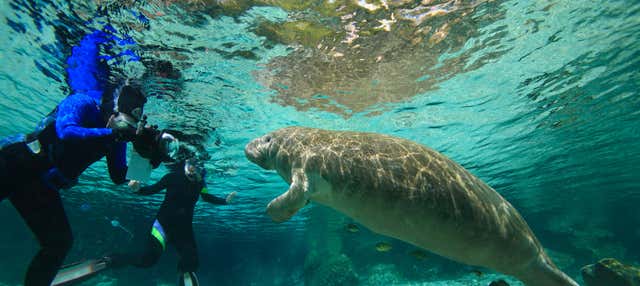 Immersione nel Rainbow River