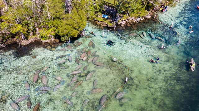 Crystal River