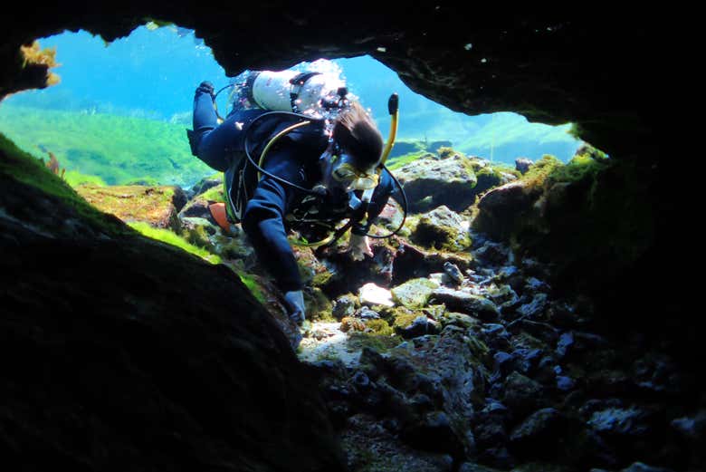 Scuba Diving in Rainbow River from Crystal River - Civitatis.com