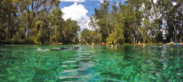 Giro in barca sul Crystal River