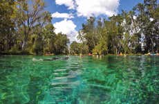 Crystal River Boat Ride
