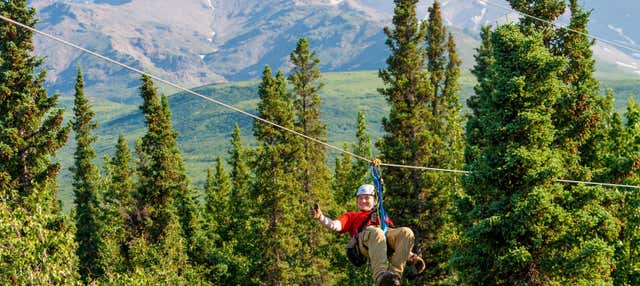 Tirolina en el Parque Nacional Denali