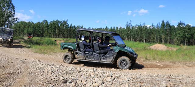 Tour en buggy por el Parque Nacional Denali
