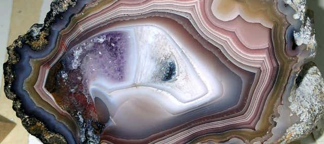 Biglietti per il Museo della Natura e della Scienza con audioguida