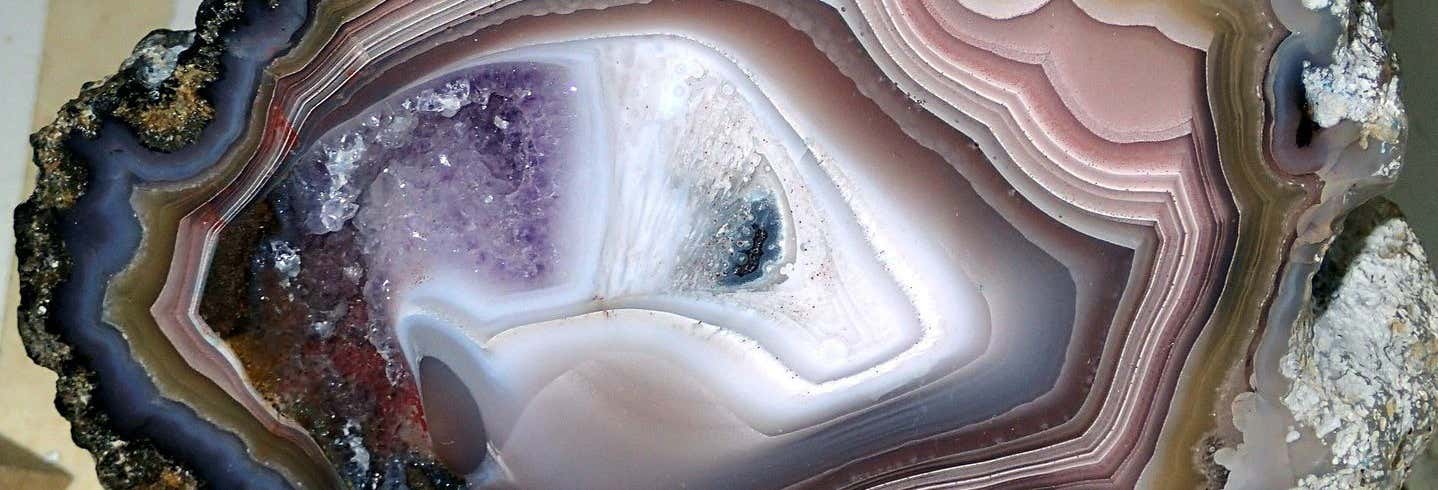 Biglietti per il Museo della Natura e della Scienza con audioguida