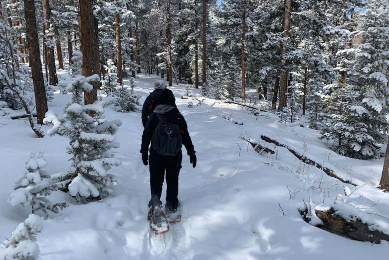 Imagen 5