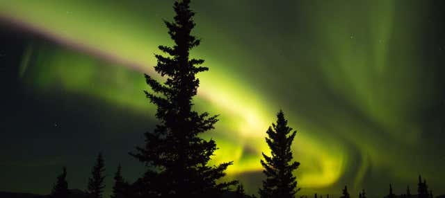 Tour dell'aurora boreale e attraversamento del Circolo Polare Artico