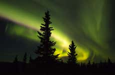 Arctic Circle & Northern Lights Tour