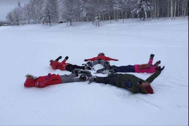 Fairbanks Snowshoe Tour Book Online at