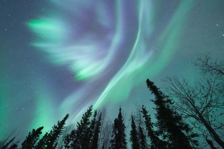 Fairbanks Northern Lights Tour
