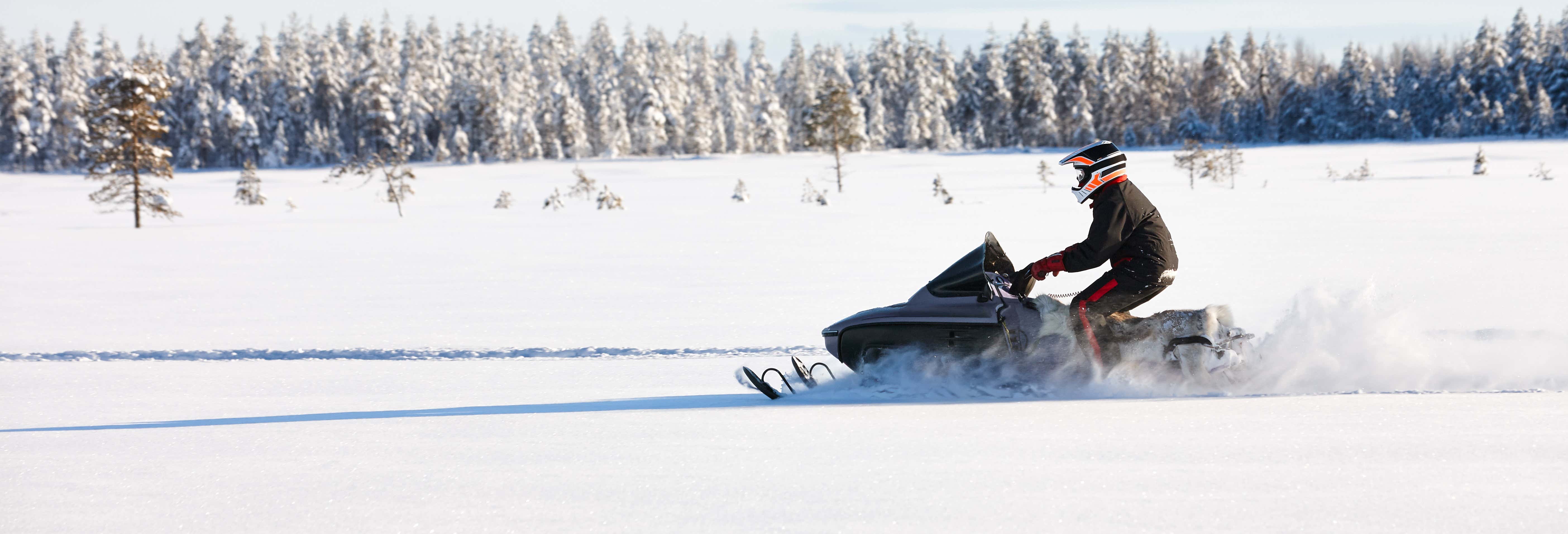 Giro in motoslitta a Fairbanks