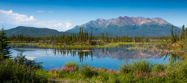 Escursione a Salcha, Delta Junction e Summit Lake