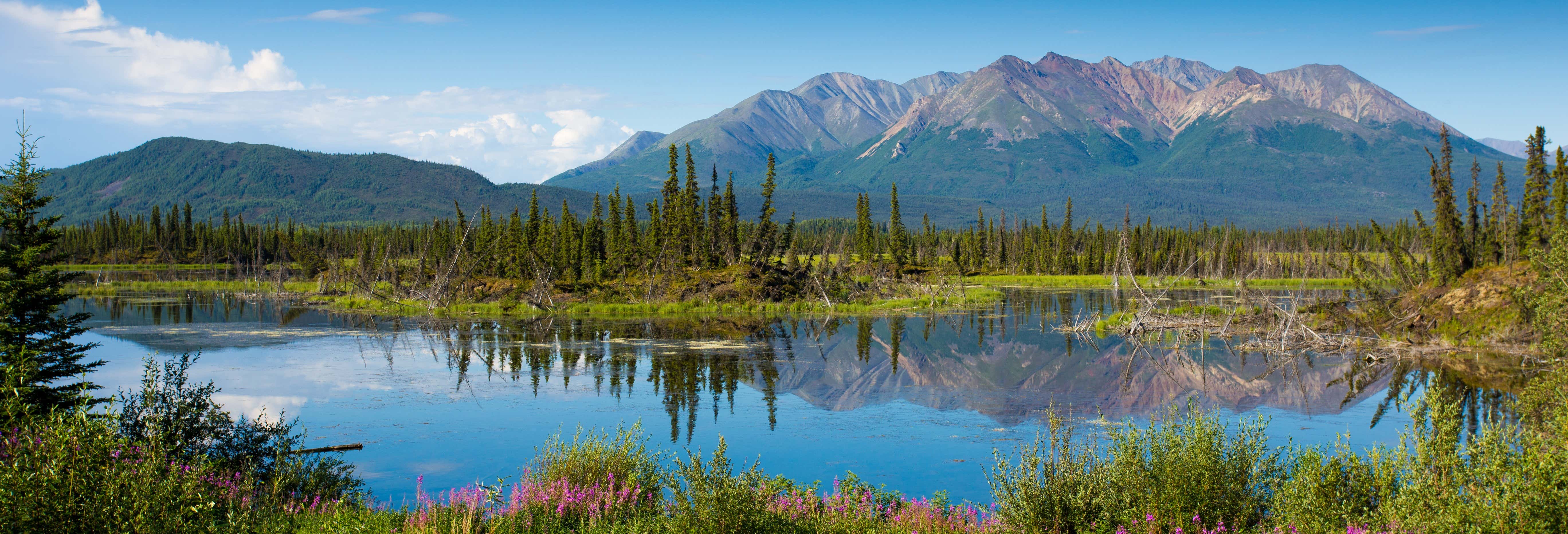 Escursione a Salcha, Delta Junction e Summit Lake
