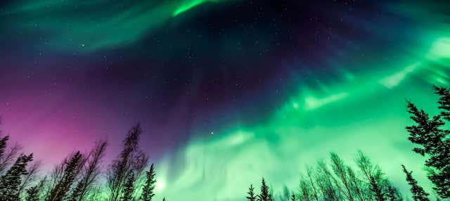 Tour dell'aurora boreale